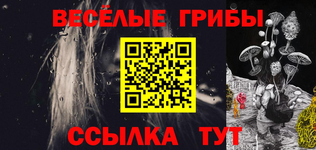 Псилоцибиновые грибы Cubensis Пыть-Ях