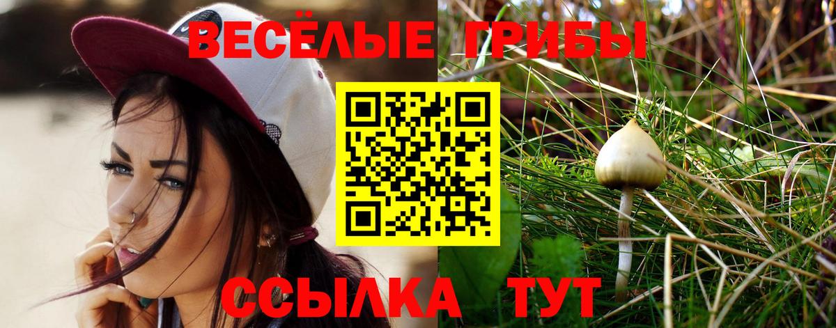 Псилоцибиновые грибы мухоморы  Вход с VPN  Пыть-Ях 